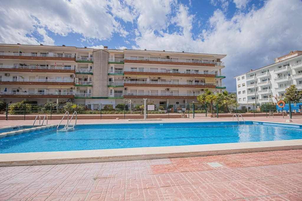 Apartment Ba Lotus Paloma *